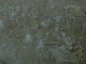 barra cristal