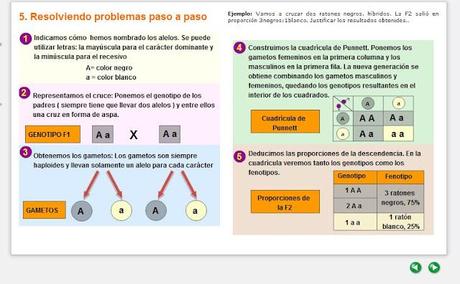 Sitios de apoyo para el tema de Genética Meneliana Sitios de apoyo para el tema de Genética Meneliana