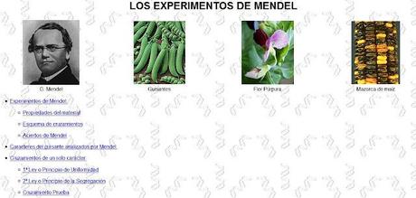 Sitios de apoyo para el tema de Genética Meneliana Sitios de apoyo para el tema de Genética Meneliana