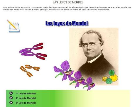 Sitios de apoyo para el tema de Genética Meneliana