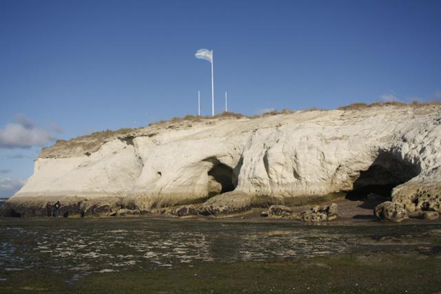 Madryn, con “M” de Mimosa