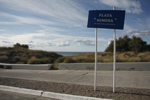 Madryn, con “M” de Mimosa