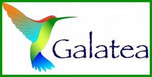 Asociación Galatea . Taller de createctura