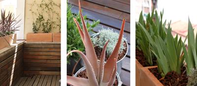 diseño de jardin en atico en madrid