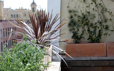 diseño de jardin en atico en madrid