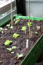 El Huerto en el balcón