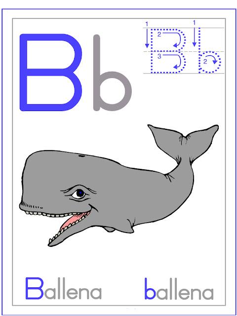 Verano!: Animales del Océano