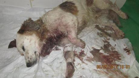 Se debae entre la vida y la muerte ( Cádiz)