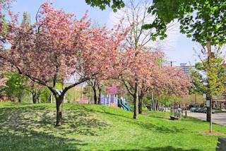 Primavera en Hamilton, ON, Canadá