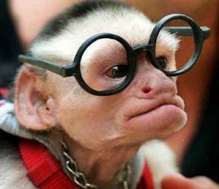 IR A LA ÓPERA POR VEZ PRIMERA