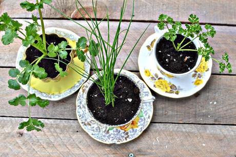 DIY: Tazas vintage como pequeñas macetas