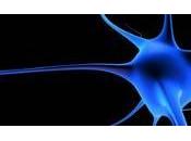 Hiperactividad consumo drogas comparten redes neuronales