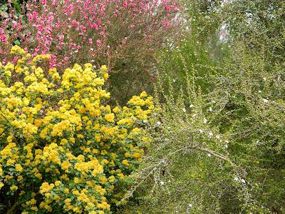 El jardín de la Saleta en abril.