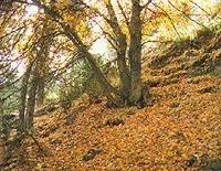 La Sierra de Baza