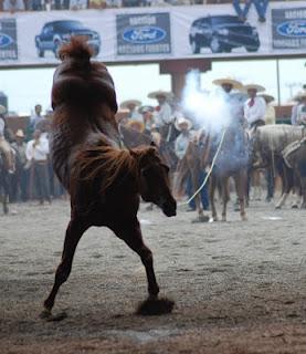 El espectáculo Excelencia Charra, en Aguascalientes