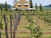 regreso vino entrerriano