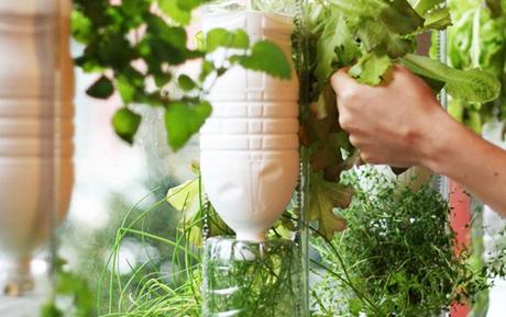 jardin-ventana-99 jardin ventana 99 Jardin en espacio minimo ventana