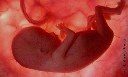 Desaprendiendo a dormir y otras 