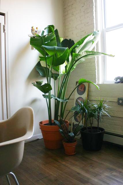 041411petejames22_rect640