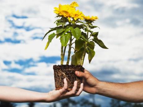 La Gratitud es más que una Actitud