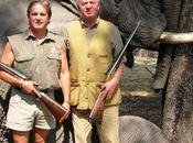 Carta elefante España