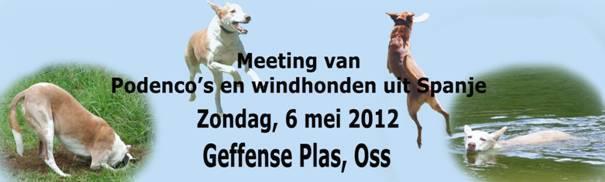 Fista en Holanda para los peludos adoptados españoles