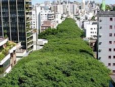 Túnel verde Calle Gonçalo Carvalho Porto Alegre
