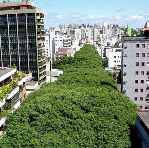 cidadespossiveis:  Túnel verde da Rua Gonçalo de Carvalho, Porto...