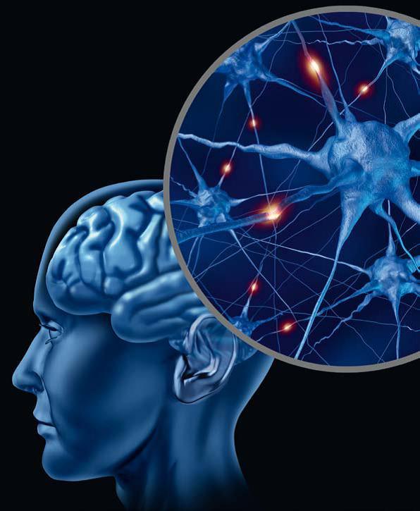 Avances en neurorrehabilitación: Terapia Ocupacional