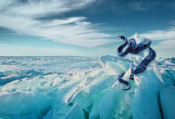 Manipulación Fotográfica #9