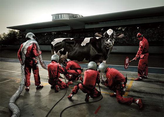 Manipulación Fotográfica #9