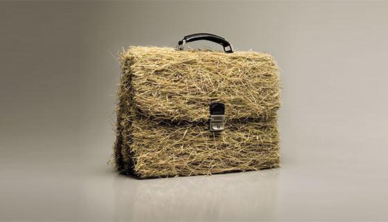 Manipulación Fotográfica #9