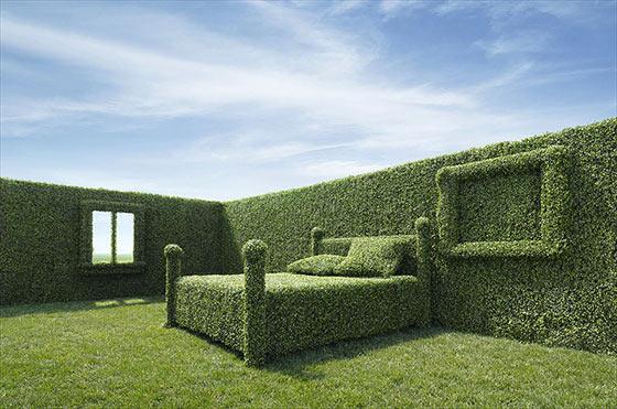 Manipulación Fotográfica #9