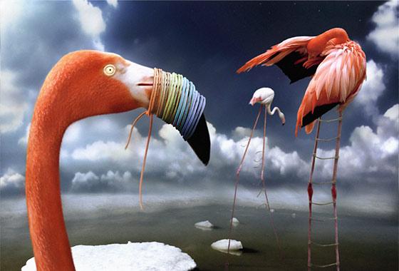 Manipulación Fotográfica #9