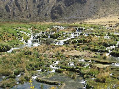 RESUMEN DE ENTRADAS DEL VIAJE A LA RESERVA NOR YAUYOS COCHAS
