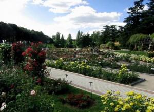 Parque de la rosaleda, Madrid
