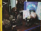 Fuego Fanzine Mutt Bookshop