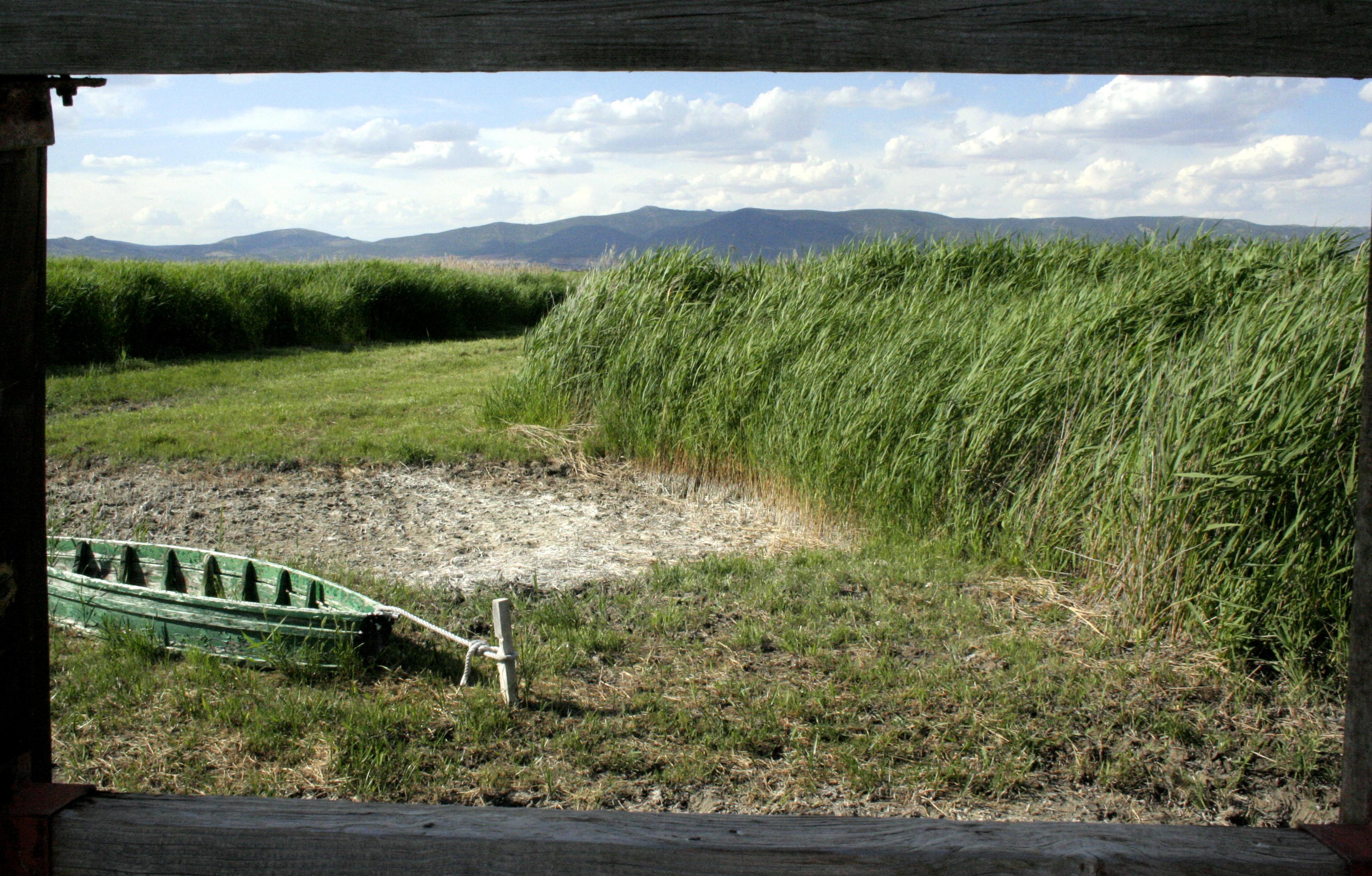 ¿Funcionan los mercados de carbono? La piedra angular de la estrategia europea 2050.