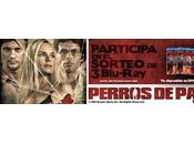 Concurso Blu-rays Perros Paja