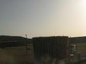 humildad como camino