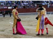 toros toreros