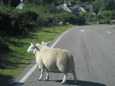 ESCOCIA: Ruta de 10 días por las Highlands.