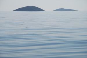 LA VERDADERA LIBERTAD (y II)