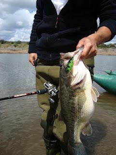 II Concurso Ojímetro