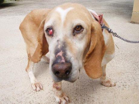 viejita abandonada , las fotos hablan por si solas