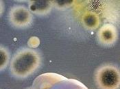 experto dice España tiene vigilar E-coli otros países