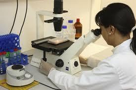 Nueva plataforma para estudiar las enfermedades raras entre médicos y pacientes