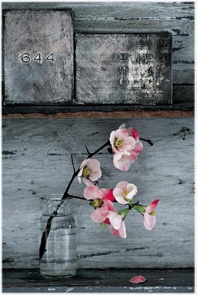 Inspiración de fin de semana: Flores