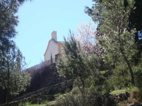 Campo de Mirra. Romería de la Reliquia de San Bartolomé 2012
