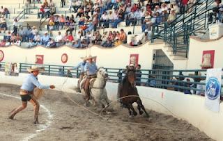 Súperexcelencia de los Tres Potrillos y Regionales de Texcoco